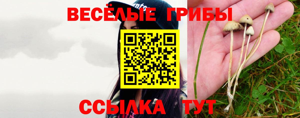Галлюциногенные грибы прущие грибы Нефтекамск